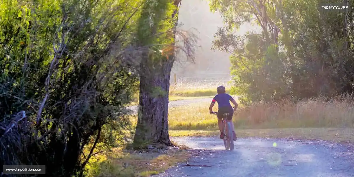 我们的核心竞争力